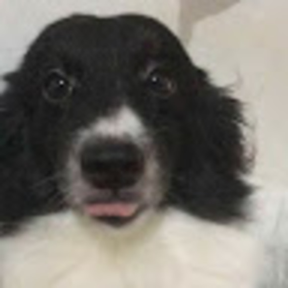 Meet your Posher, Rona jane - Picture 1 of 1